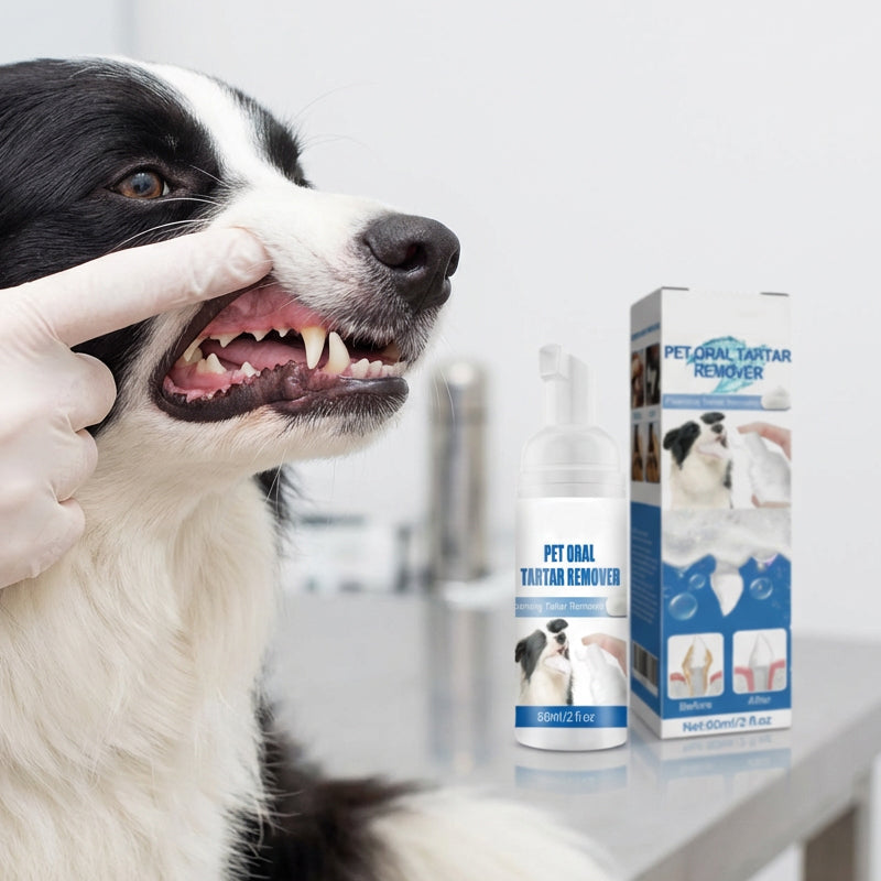 Aggódsz kedvenced fogkőjéért és rossz szájízéért? 🐾🦷 Habzó fogkőeltávolító háziállatok szájápolásához