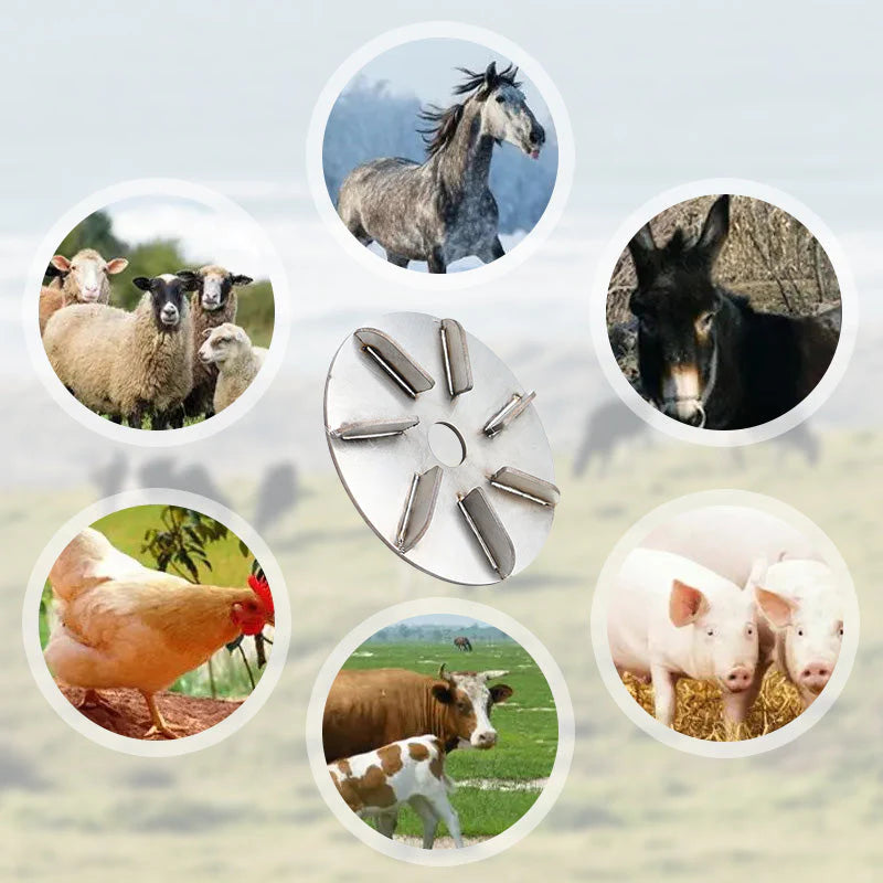 Végre vége a szőrzetproblémáknak a háziállatoknál!🐄✨ Állatszőrtelenítő eszközök✨🐕