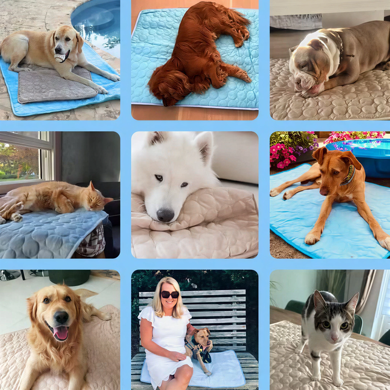 😻 Kedvenced is élvezze a hűs kényelmet nyáron! 🐱🐶Emalova – Hűsítő matrac a nyárra