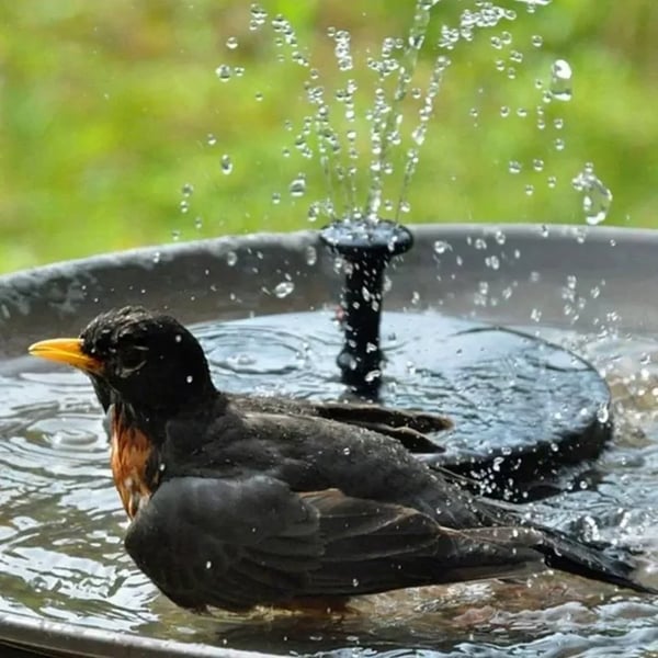 🔥Napenergiával működő madárszökőkutak🐦️