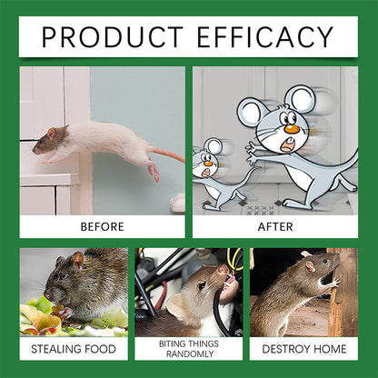 🌿🐭 Természetes borsmentaolajos rágcsálóriasztó spray 💥