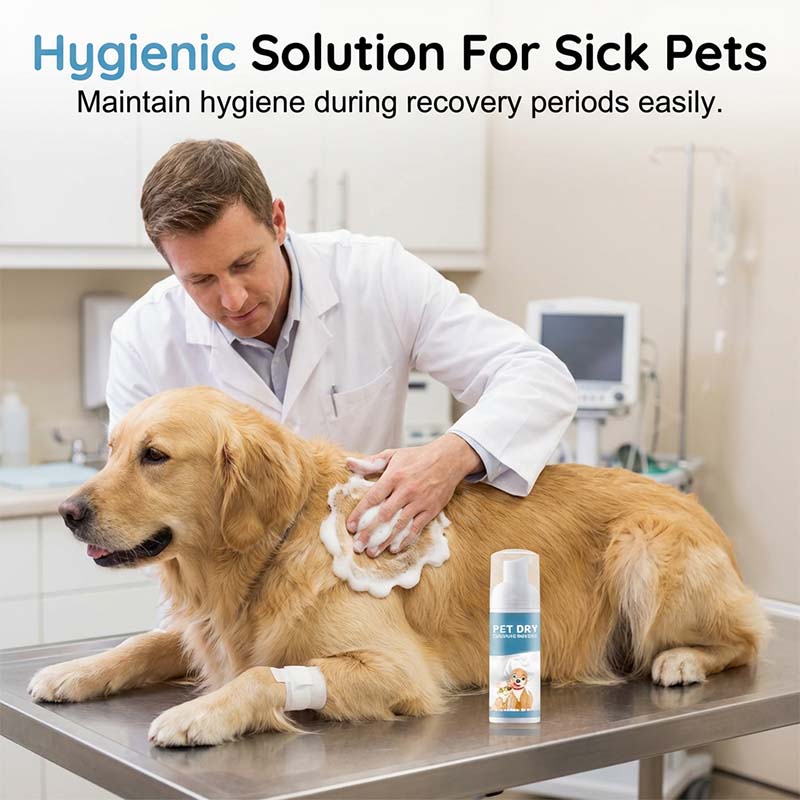 Nem szeretnél minden alkalommal fürdetni kedvencedet? 🐶🐱 Vízmentes tisztítóhab kutyáknak és macskáknak