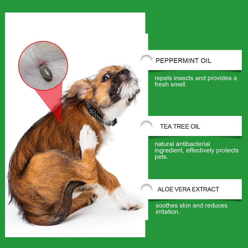 Természetes bolha- és kullancsriasztó spray kutyáknak és macskáknak
