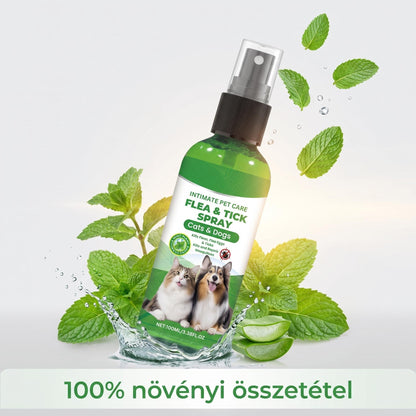 Természetes bolha- és kullancsriasztó spray kutyáknak és macskáknak