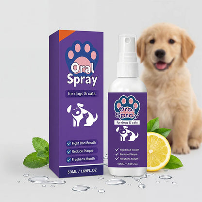 🎁1+1 INGYEN (2 db)✨Szájspray friss leheletért kutyáknak és macskáknak