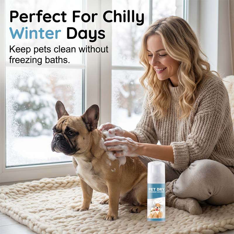 Nem szeretnél minden alkalommal fürdetni kedvencedet? 🐶🐱 Vízmentes tisztítóhab kutyáknak és macskáknak