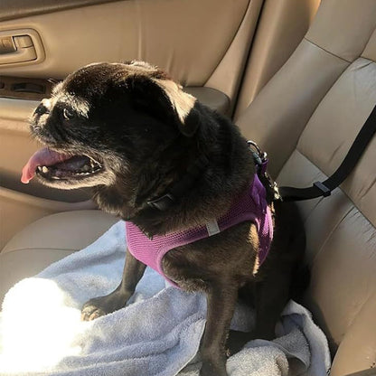 Félsz, hogy kutyád autóban vagy sétálás közben elszabadul? 🐶🚗 🐾 Kétfunkciós kutyás biztonsági öv és póráz