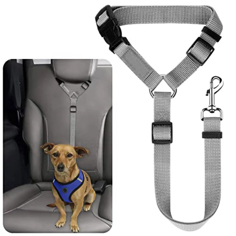 Félsz, hogy kutyád autóban vagy sétálás közben elszabadul? 🐶🚗 🐾 Kétfunkciós kutyás biztonsági öv és póráz